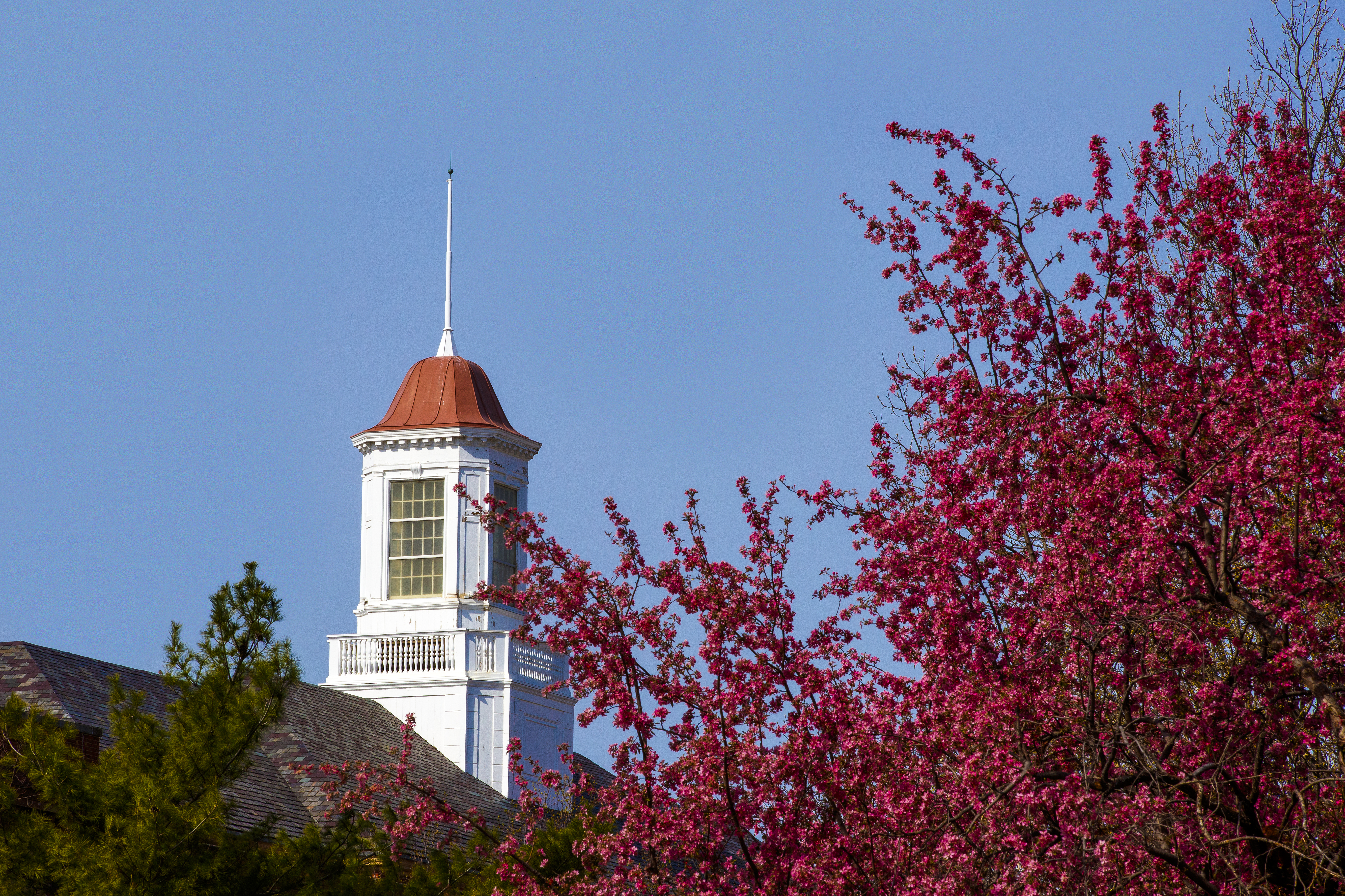 Picture of Cupola on Campus