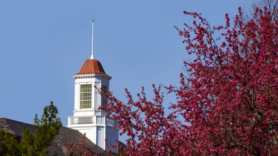 Picture of Cupola on Campus
