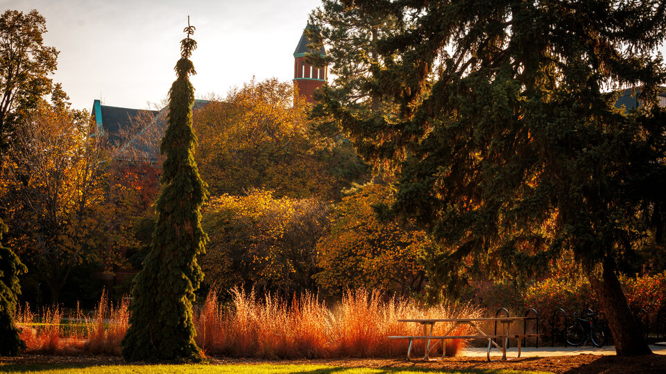 campus in the fall