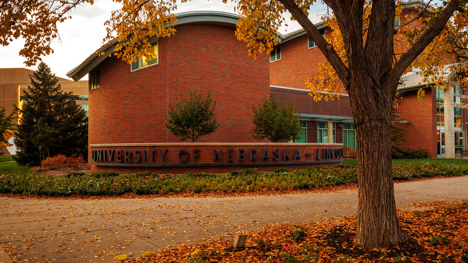 Campus in the Fall